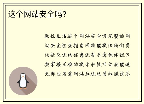 这个网站安全吗？